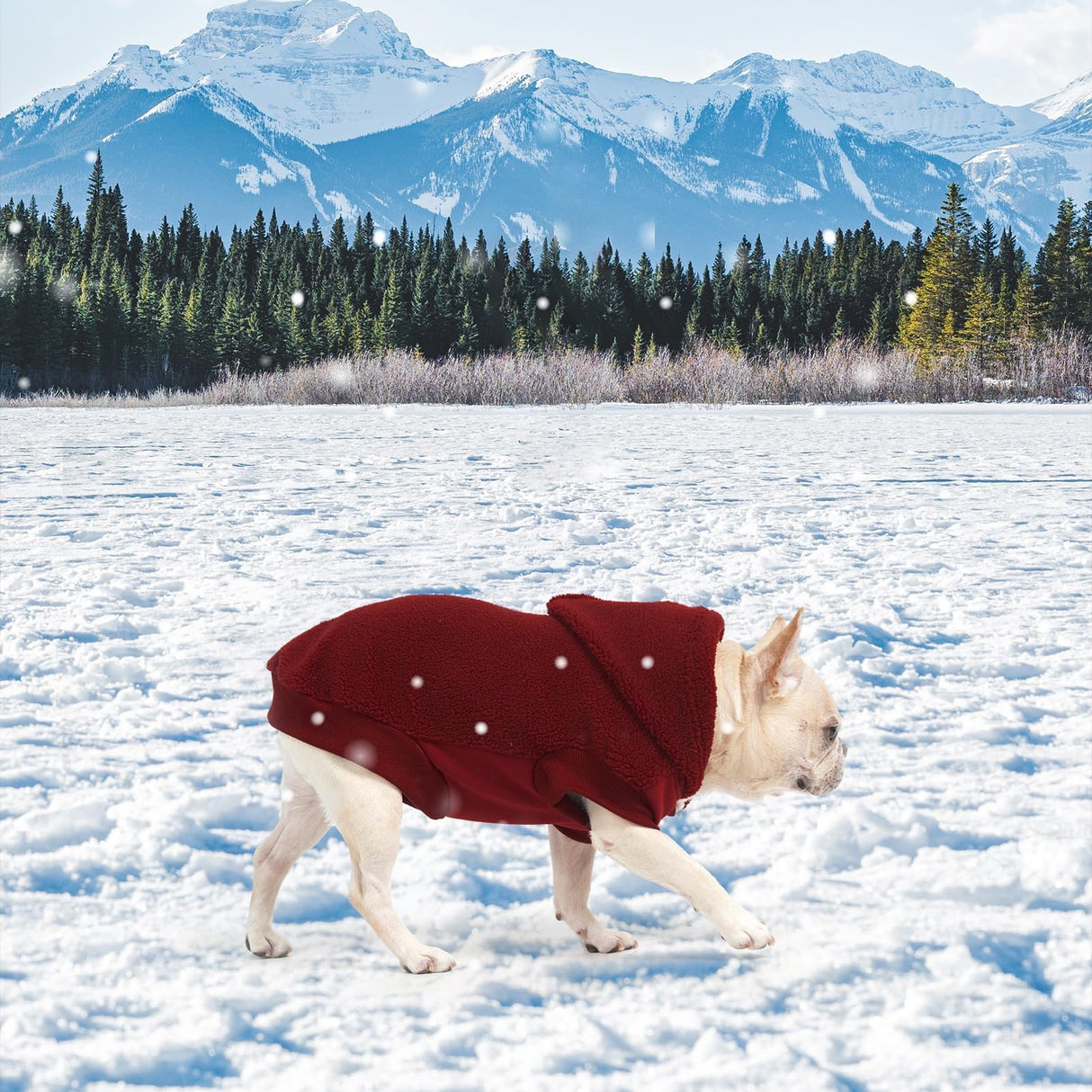 BINGPET Dog Hoodie for Large Medium Small Dogs, Sherpa Hooded Dog Sweater with Pocket Leash Hole for Boy Girl Dogs,Soft Warm Fleece Dog Winter Clothes Cold Weather Coats Jacket for Puppy Sweatshirt,L