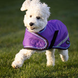 Kensington Dog Cold Weather Coat Waterproof Warmer Jacket for Dog Apparel Snowsuit - Purple, 2XL