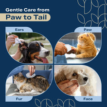 Load image into Gallery viewer, REFRESHIFY Dog Wipes for Paws and Butt - Plant Based Lavendar Scented (Pack of 400) - Pet Wipes for Dogs and Cats - Deodorizing Non Toxic Dog Wipes, +12 Additional Travel Wipes

