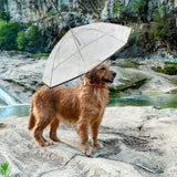 ZEFOXETO Pet Dog Transparent Umbrella, Clear Folding Adjustable Leash, Keeps Pet Dry in Rain (Bending Hook)