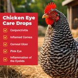 FRONTGUARD Chickens Eye Care Drops for Chickens, Ducks & Birds – Improve The Eye Health – Improve Egg Quality – Supports Clear Vision & Healthy Eyes – 15 mL (0.5 fl oz)