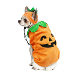 Best Furry Friends Jack-O-Lantern Pumpkin Dog Costume, X-Small