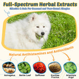 Dog Allergy Relief Chews, with Probiotics, Omega 3, Colostrum - Dog Itching Skin & Ears Relief, Herbal Skin & Coat Supplement, Gut & Immune Support, Hot Spot Treatment, Anti Seasonal Allergies