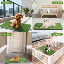 Load image into Gallery viewer, Artificial Grass Mat, Dog Grass Pee Pads, Fake Grass Pad for Pets Potty Training, Soft Grass Rug, Grass Doormat with Drainage Holes, Pet Turf for Indoor Outdoor Use, Washable(15.7''*31.5'')
