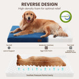 Warmrest Orthopedic Dog Beds for Large Medium Dogs, Washable Pet Bed Mat with Removable Cover, Waterproof Egg Crate Foam Puppy Bed Anti Slip, 36" x 27"