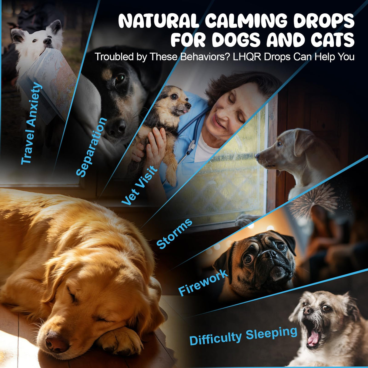 LHQR Cat Melatonin Natural Calming Liquid - 60ML Calming Drops for Dog for Anxiety & Stress Relief - Separation, Thunder, Fireworks Support - Calming Pet Supplement for Small Large All Breeds
