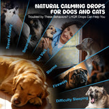 LHQR Cat Melatonin Natural Calming Liquid - 60ML Calming Drops for Dog for Anxiety & Stress Relief - Separation, Thunder, Fireworks Support - Calming Pet Supplement for Small Large All Breeds