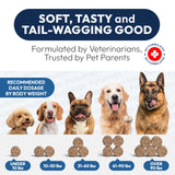 Probiotics for Dogs - 170 Dog Probiotics Chews - Digestive Enzymes & Prebiotics - Support Gut Health, Diarrhea, Gas & Constipation Relief - Itchy Skin, Allergies, Yeast Balance - Advanced Supplement