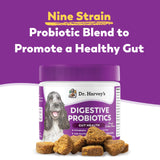 Dr. Harvey's Digestive Probiotic Soft Chews for Dogs, 9 Probiotics for Gut Health, Diarrhea and Bowel Support, Peanut Butter Flavor (90 Chews)