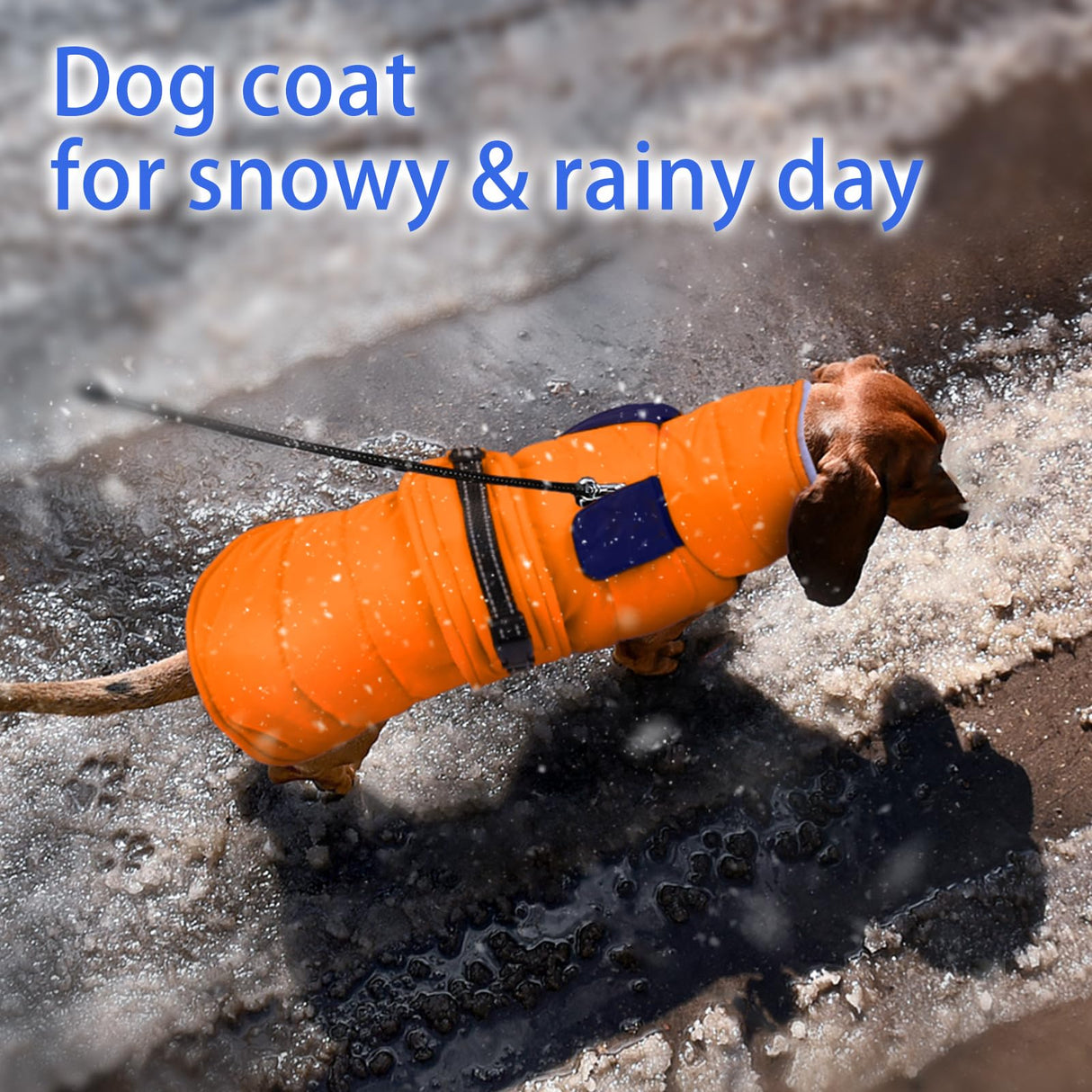 MIGOHI Warm Dog Jacket - Waterproof Small Dog Coat with Furry Collar, Windproof Dogs Fleece Vest, Reflective Cold Weather Coats for Small Dogs, Adjustable Buckle, Poodle,S,Orange