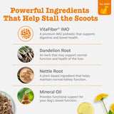 Zesty Paws Scoot Away Soft Chews - Healthy Bowel Function with Bromelain, Vita Fiber for Dogs, & Dandelion Root for Dog Digestive Support and Gut Health - 90 Soft Chews