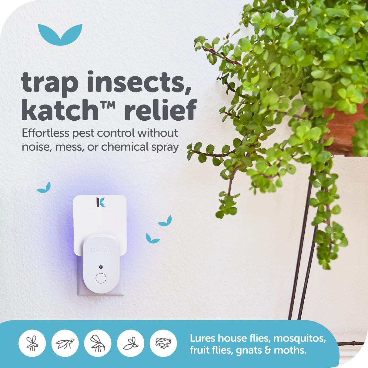 Katchy Plug-in Fly Trap Indoor – Blue Light Bug Catcher for Mosquito, Gnat, Fruit Fly & Small Moth – Chemical-Free & Eco-Friendly – All Indoor Areas: Kitchen, Living Room & Plants (2 Pack)