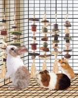 DBNESS 6PCS Bunny Chew Toys, Hamster Rabbit Cage Hanging Chew Toys, Natural Apple Wood Bunnies Treats, Improve Small Animal Teeth Health for Guinea Pig Chinchilla Ferret Rats Gerbil