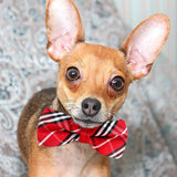 Segarty Bow Ties for Dogs, 30 Pcs Adjustable Dog Collar with Bow, Dog Bow Tie Collar for Small Medium Large Girl Pet Dogs Cats Christmas, Bulk Red White Purple Black Plaid Neck Bowties