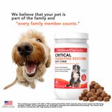 Critical Digestive Restore Soft Chews for Dogs - Veterinarian-Strength Probiotic Support for Optimal Health – with 10 Billion CFUs Per Dose