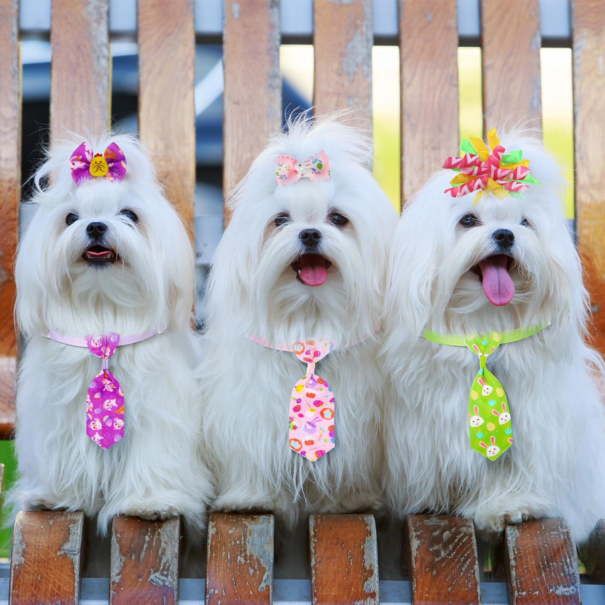 Reginary 70 Pcs Easter Dog Bow Ties Collar Set Adjustable Grooming Hair Bows Rabbit Eggs Butterfly Rhinestone Pattern Neckties for Spring Easter Puppy Cat Supplies