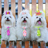 Reginary 70 Pcs Easter Dog Bow Ties Collar Set Adjustable Grooming Hair Bows Rabbit Eggs Butterfly Rhinestone Pattern Neckties for Spring Easter Puppy Cat Supplies