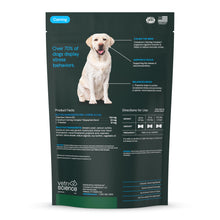 Load image into Gallery viewer, VetriScience Calm &amp; Confident Chews, Composure Clinically Tested Calming and Anxiety Supplement for Dogs, Reduce Stress and Fear, Ideal for Thunderstorms, Fireworks and Travel, Chicken, 60 Count
