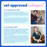 Taily Collagen for Dogs Skin and Coat Supplement, Cats | Taily Liquid Premium Grass-fed Collagen | Itch Relief for Dogs with Allergies, Biotin, Vitamin C and Hyaluronic Acid | Made in USA