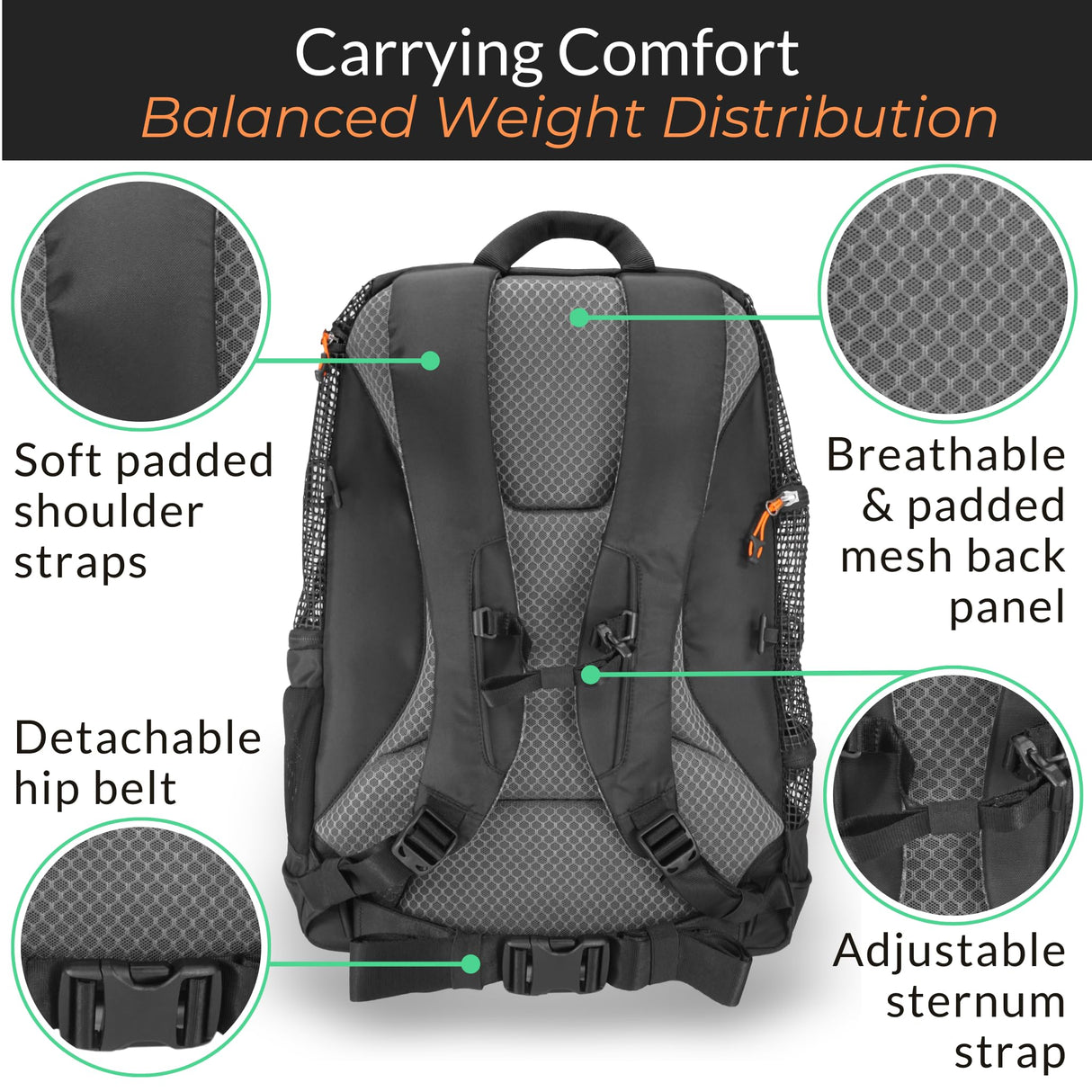 DJANGO Dog Carrier Backpack – Pet Backpack for Small Dogs & Cats with Hip Belt, Laptop Pocket & Water Bottle Sleeve – Travel Dog & Cat Carrier for Hiking, Camping & Commuting (Midnight Black)