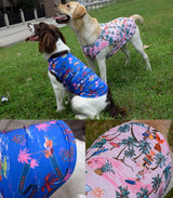 Uadonile Dog Cooling Shirts, Medium Dog ShirtsDog Clothes for Boy Girl Dogs, Dogs Cooling T-Shirts for Pug, Pitbulls, Dog Summer Shirts Hawaiian, M, 2 Pcs