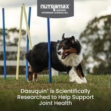 Load image into Gallery viewer, Nutramax Dasuquin for Large Dogs, Joint Health Supplement, Contains Glucosamine for Dogs, Plus Chondroitin, ASU, MSM and More, Supports Healthy Joints, Chewable Tablets, 84 Count
