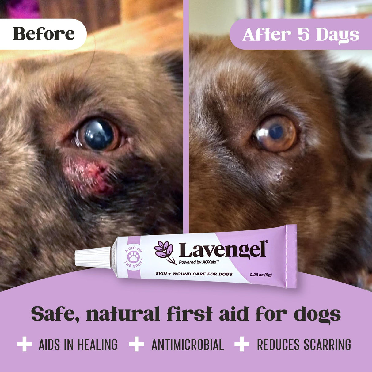 Lavengel for Dogs - Reduces Skin Irritations and Itching - Effective Wound Care and Hot Spot Treatment