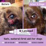 Lavengel for Dogs - Reduces Skin Irritations and Itching - Effective Wound Care and Hot Spot Treatment