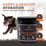 Resurgence Dog Electrolytes by Alpha Dog Nutrition | Promote Dog Hydration, Increase Stamina, and Boost Recovery | Electrolyte Water Additive or Food Topper to Prevent Dehydration with Beef Flavoring