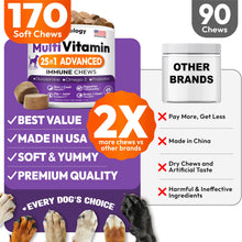 Load image into Gallery viewer, Dog Multivitamin Chewable - Dog Vitamins and Supplements with Glucosamine - 170 Chews - Hip &amp; Joint, Pet Immune Support, Skin &amp; Coat, Gut &amp; Heart Health - Senior &amp; Puppy Multivitamin Pet Supplement
