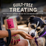 Vital Essentials Salmon Bites Dog Treats, 5 oz | Freeze-Dried Raw | Single Protein | Premium Quality High Protein Training Treats | Grain Free, Gluten Free, Filler Free