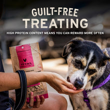 Load image into Gallery viewer, Vital Essentials Salmon Bites Dog Treats, 5 oz | Freeze-Dried Raw | Single Protein | Premium Quality High Protein Training Treats | Grain Free, Gluten Free, Filler Free
