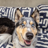 One Another Goods Waterproof Blanket, 60”x70” - Large Couch Cover for Dogs and Pets - Ideal for Picnics, Outdoor, Camping, Beach and More - Large, Washable Protector