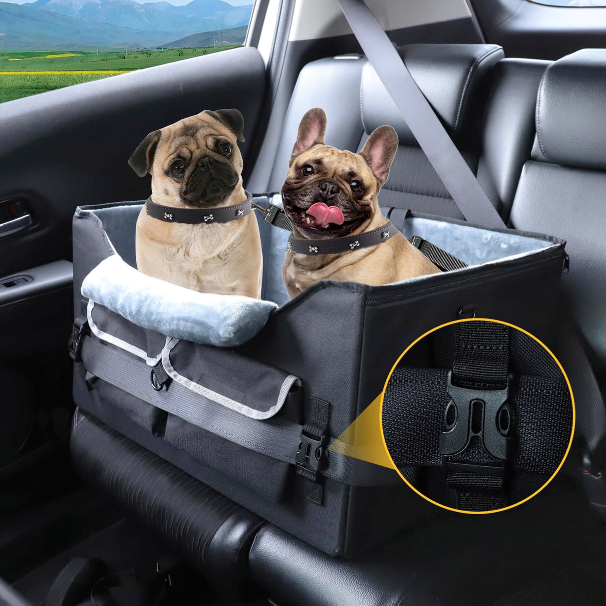 AMFIYQ Foldable Dog Car Seat for Small/Medium Dogs,Potable Puppy Booster Seat with Harness &Safety Belt, Travel Pet Bed can Removable & Washable Suitable for 2 Dogs 25-30 lbs(Black)