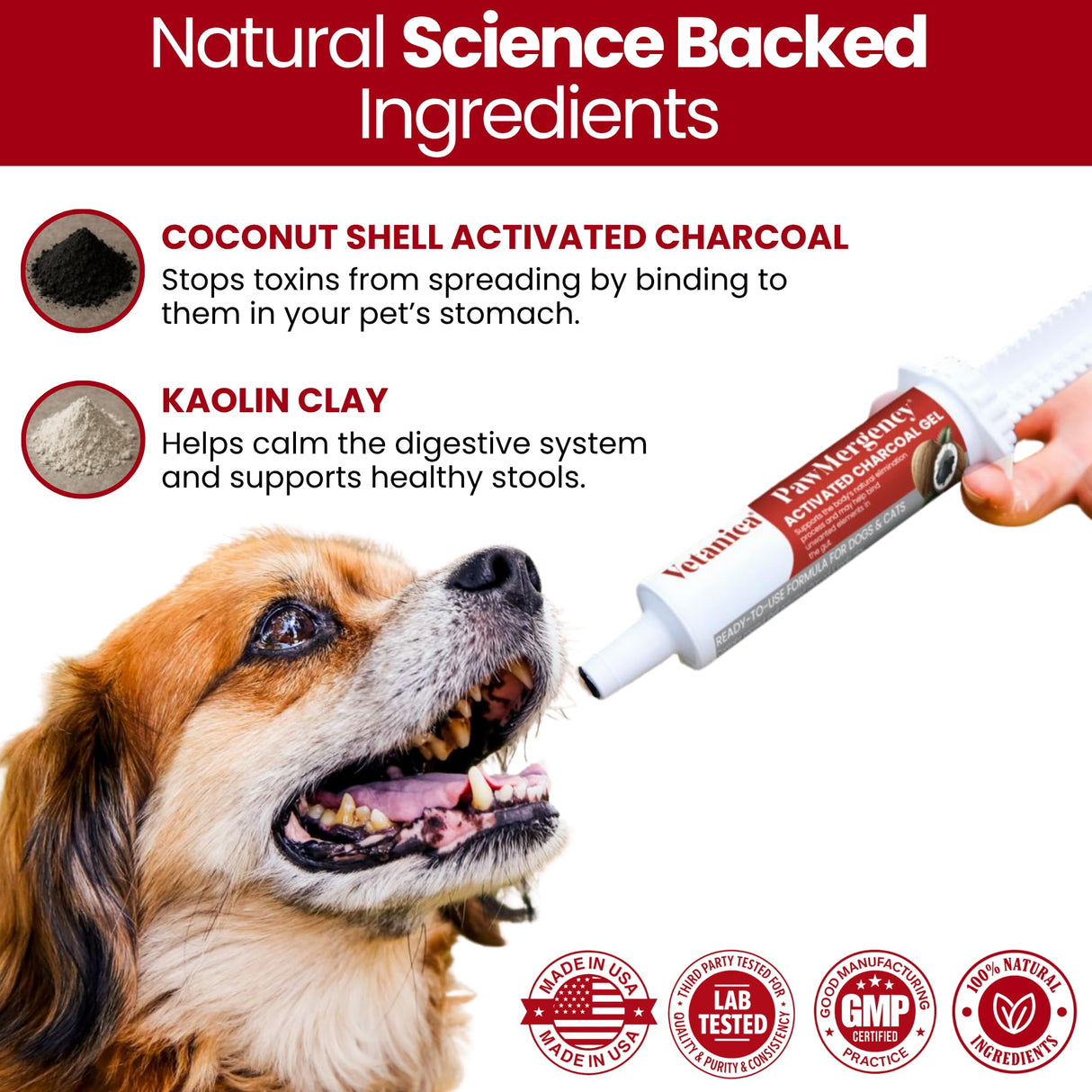 PawMergency – Activated Charcoal First Aid Kit Emergency Rescue for Dogs, Cats, Puppy & Pet Poison Kit, Camping Survival Remedy Essential,Oral Anti Diarrhea Digestive Paste Ready Absorb Toxins (30mL)