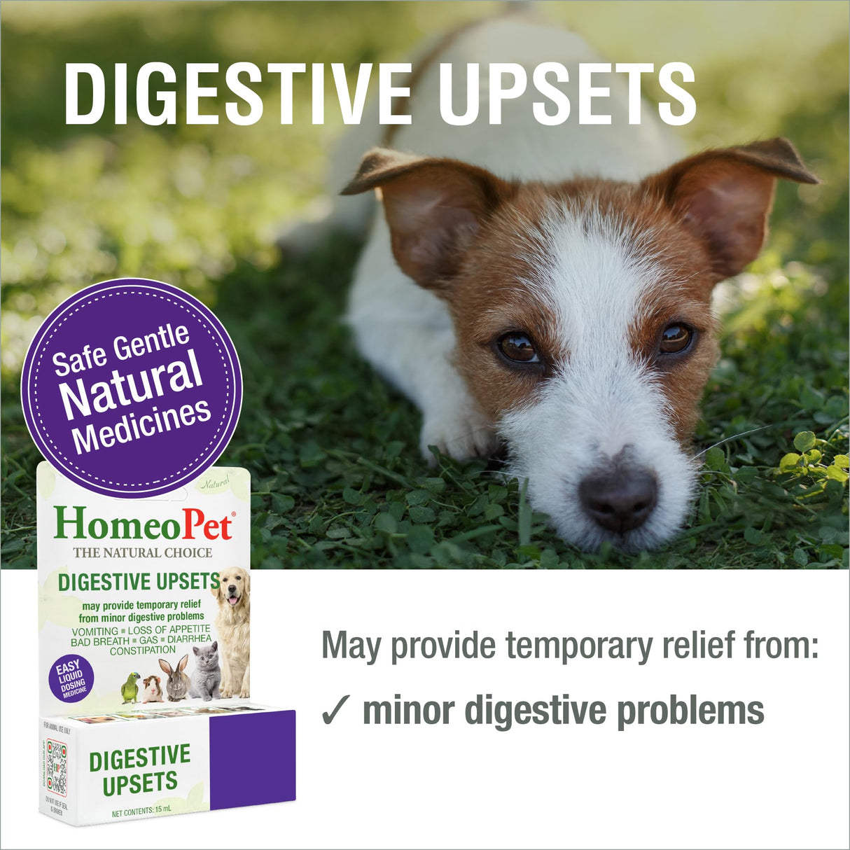 HomeoPet Digestive Upsets, Safe, Gentle, and Natural Cat and Dog Digestive Support, 15 Milliliters