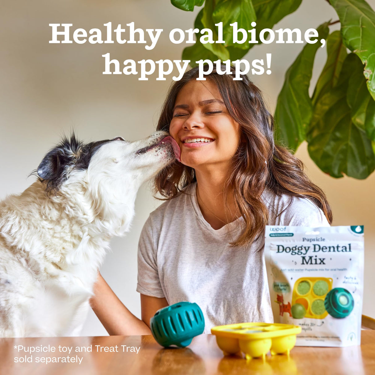 Woof Doggy Dental Pupsicle Mix - Dog Teeth Cleaning Powder for The Pupsicle - Long Lasting Postbiotic Dental Enzyme Mix to Support Oral Health for Dogs