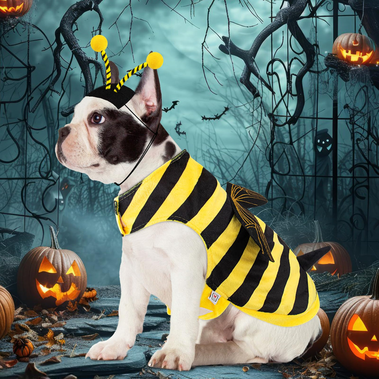 Bee Dog Costume Halloween Dog Costumes for Small Medium Dogs Cats, Bumblebee Pet Outfit with Antenna Hat Funny Pet Costumes Cosplay Clothes Christmas Birthday Party