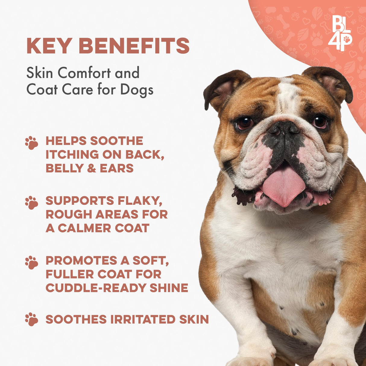 Dog Mange Support and Natural Dog Itching Relief for Canine Coat Issues & Puppy Mange, Soothes Dry Itchy Scaly Skin, Welts & Scabs - Helps Restore Fur Loss (Easy Use 400 Tiny Pills)