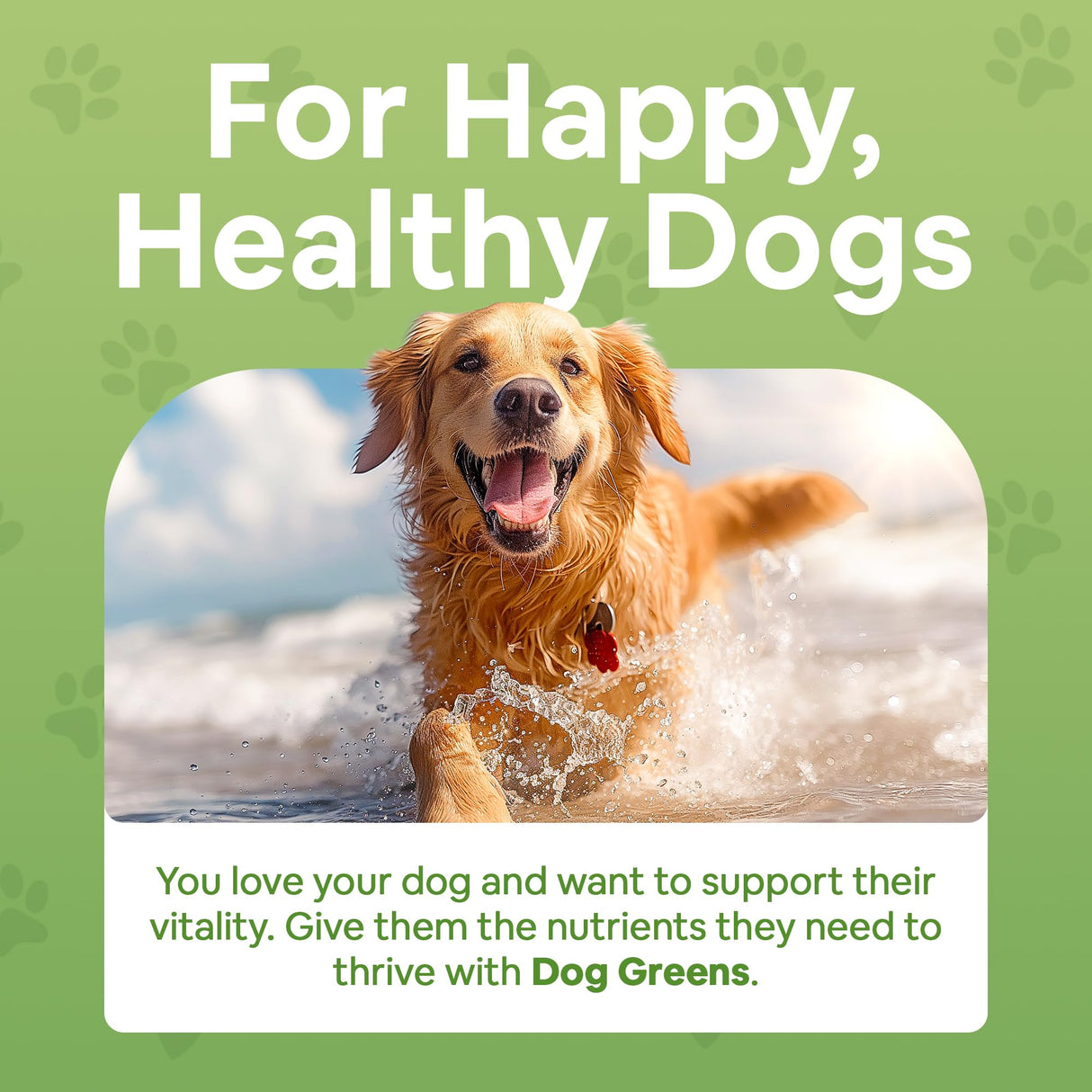 Dog Greens Superfood Multivitamin Powder - Dog Vitamins and Supplements, Organic Kelp, Spirulina, Sea Moss for Homemade Food, Kibble and Raw Meals, Energy, Immune, Joint & Skin Support for All Ages