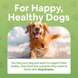 Dog Greens Superfood Multivitamin Powder - Dog Vitamins and Supplements, Organic Kelp, Spirulina, Sea Moss for Homemade Food, Kibble and Raw Meals, Energy, Immune, Joint & Skin Support for All Ages