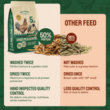 Hatortempt Dried Mealworms - Non-GMO & Organic - High-Protein Mealworms for Wild Bird Food, Ducks & Chickens (5lb)
