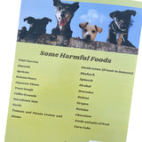 Groomers Margins Puppy Information Folders (10 Pack) - New Puppy Essentials and Dog Health Supplies for Breeders, Veterinarians, and Shelters - A Dog Owner Must Have