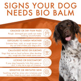 Dermoscent | Bio Balm | Natural, Organic, Healing Dog Paw Balm | Skin & Paw Soother For Dogs With Dry, Cracked, & Rough Paws | Veterinarian-Approved Paw Pad Moisturizer & Protector