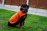 4LegsFriend Reflective Dog Vest. Hi-Visibility, Blaze Orange Oxford 300D Waterproof Dog Vest Helps Protect Your Best Friend. Safeguard Your PUP from Motorists & Hunting Accidents, On or Off Leash