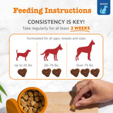 Zesty Paws Eye Supplement for Dogs - Vision Support with Antioxidants & Omega 3 Fatty Acids - 90 Chews