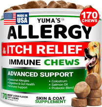 Load image into Gallery viewer, Dog Allergy Relief Chews - Dog Itching Skin Relief Treatment Pills - 170 Treats - Anti-Itch - Itchy and Paw Licking - Hot Spots - Omega 3 Fish Oil - Dry Skin &amp; Coat Supplement - Beef Liver Flavor
