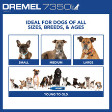 Load image into Gallery viewer, Dremel 7350-PET 4V Pet &amp; Dog Nail Grinder, Easy-To-Use &amp; Safe Nail Trimmer, Professional Pet Grooming Kit - Works on Large, Medium, Small Dogs &amp; Cats
