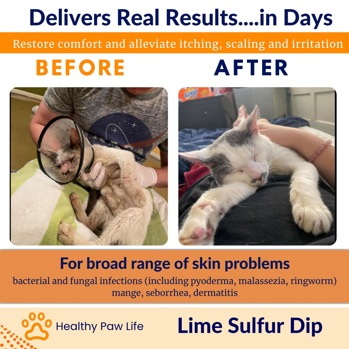 Lime Sulfur Dip – Concentrated Antimicrobial & Antiparasitic Solution for Itchy Skin, Mange, Ringworm & Dermatitis – Safe for Dogs, Cats, Puppies, Kittens, Horses, and Livestock (16 oz)