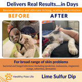 Healthy Paw Life - Lime Sulfur Dip - Pet Care for Itchy and Dry Skin - Xtra Strength Formula - Safe Solution for Dog, Cat, Puppy, Kitten, Horse (1 Gallon)